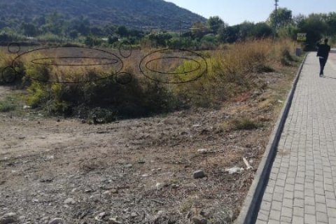 5000m² Land in Gazipasa, Turkey No. 14306 3