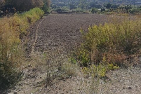 5000m² Land in Gazipasa, Turkey No. 14306 1