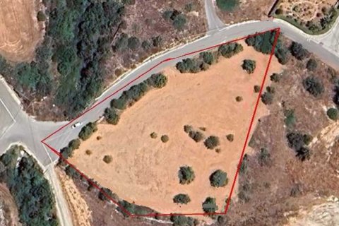 5450m² Land in Tala, Cyprus No. 66041 2