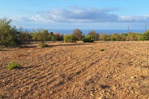 5450m² Land in Tala, Cyprus No. 66041 1