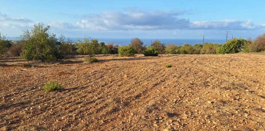 5450m² Land in Tala, Cyprus No. 66041