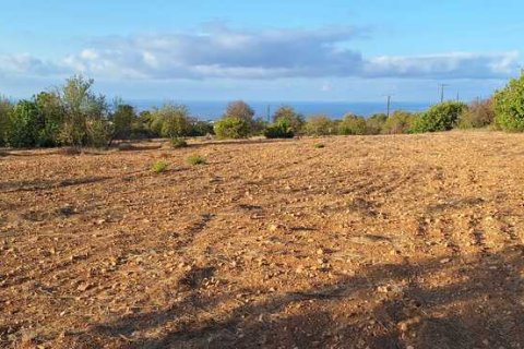 5450m² Land in Tala, Cyprus No. 66041 4