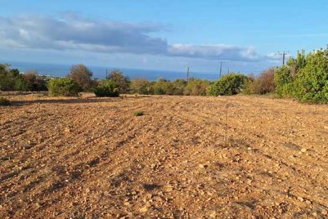 5450m² Land in Tala, Cyprus No. 66041 5