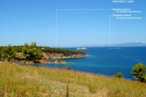 3000m² Land en Euboea, Greece No. 58907 2