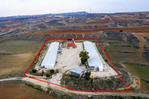 14650m² Land in Agios Ioannis Malountas, Cyprus No. 73806 4