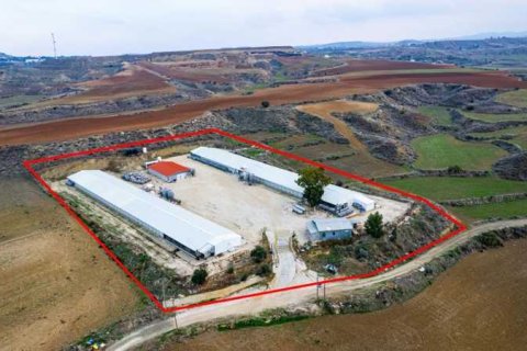 14650m² Land in Agios Ioannis Malountas, Cyprus No. 73806 5