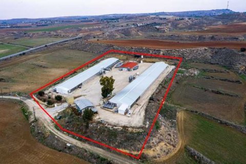 14650m² Land in Agios Ioannis Malountas, Cyprus No. 73806 3