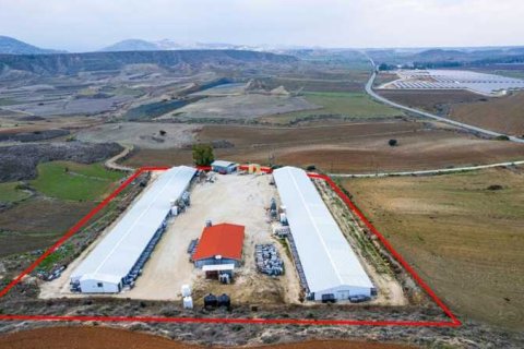 14650m² Land in Agios Ioannis Malountas, Cyprus No. 73806 1