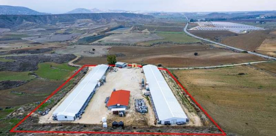 14650m² Land in Agios Ioannis Malountas, Cyprus No. 73806