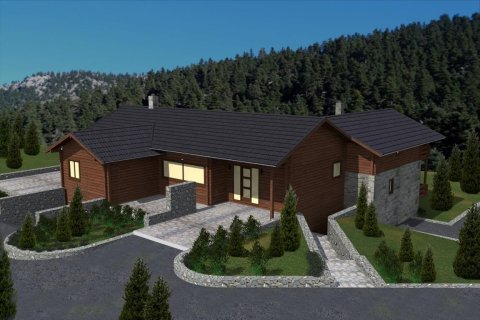 400m² House in Boeotia, Greece No. 58203 4