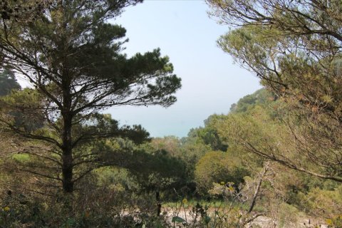 5083m² Land in Corfu, Greece No. 58184 1