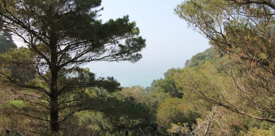 5083m² Land in Corfu, Greece No. 58184