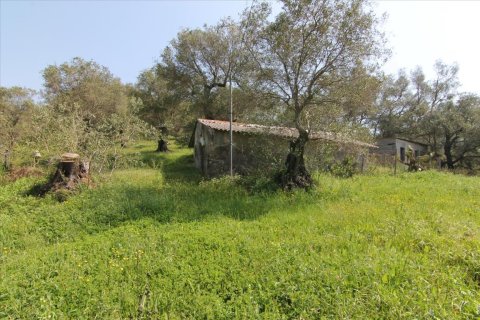 5083m² Land en Corfu, Greece No. 58184 3