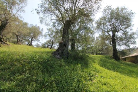 5083m² Land à Corfu, Greece No. 58184 8