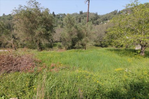 5083m² Land en Corfu, Greece No. 58184 10