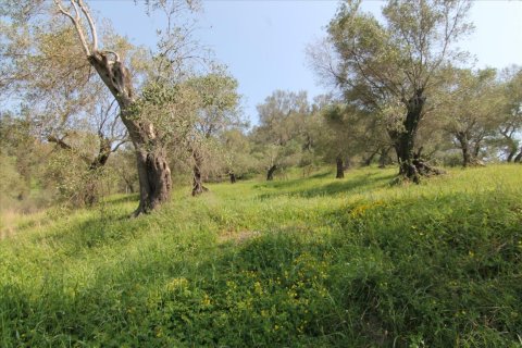 5083m² Land en Corfu, Greece No. 58184 9