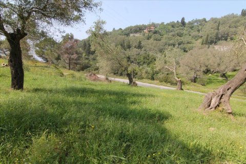 5083m² Land à Corfu, Greece No. 58184 4