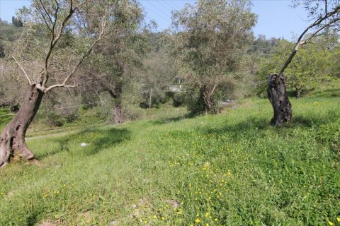 5083m² Land en Corfu, Greece No. 58184 6