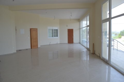 3 rooms Business in Chalkidiki, Greece No. 58187 5