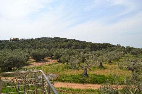 3 habitaciones Negocio en Chalkidiki, Greece No. 58187 18