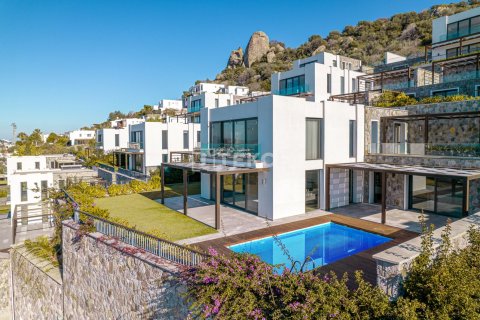 6+1 Villa à Bodrum, Turkey No. 42298 3