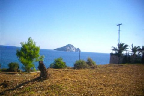 Land in Zakynthos, Greece No. 28062 6