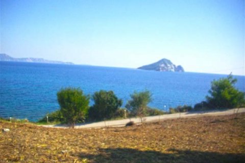 Land en Zakynthos, Greece No. 28062 1