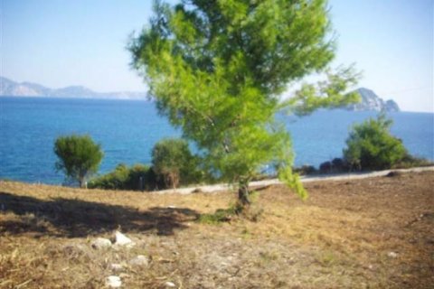 Land in Zakynthos, Greece No. 28062 2