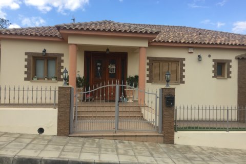 4 chambres Villa à Kapedes, Cyprus No. 28053 20