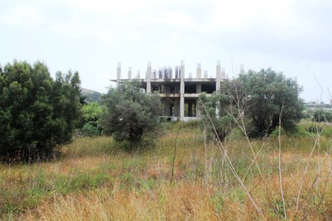 4800m² Affaires à Rhodes, Greece No. 59659 2