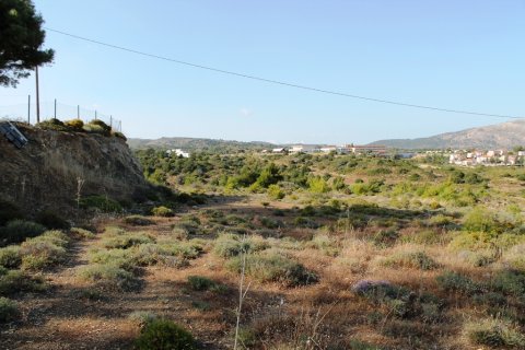 8500m² Land en Rhodes, Greece No. 59656 13