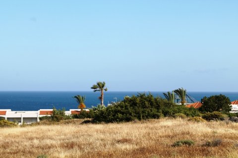 8500m² Land in Rhodes, Greece No. 59656 6