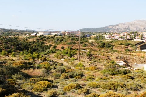 8500m² Land à Rhodes, Greece No. 59656 7