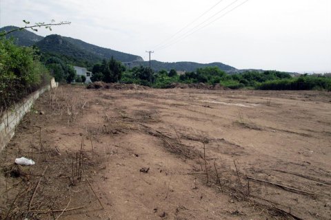 4100m² Land in Kavala, Greece No. 60226 6