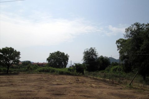 4100m² Land in Kavala, Greece No. 60226 8