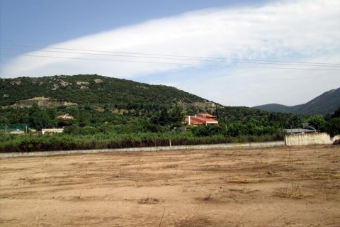 4100m² Land à Kavala, Greece No. 60226 3