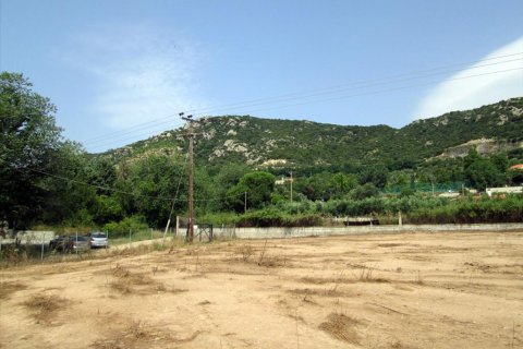 4100m² Land à Kavala, Greece No. 60226 4