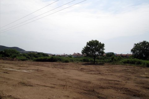 4100m² Land in Kavala, Greece No. 60226 1