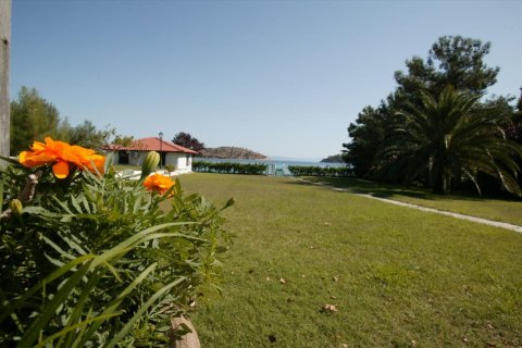 480m² Hotel in Chalkidiki, Greece No. 58842 8