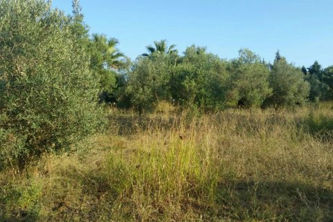 4250m² Land à Chalkidiki, Greece No. 59048 2