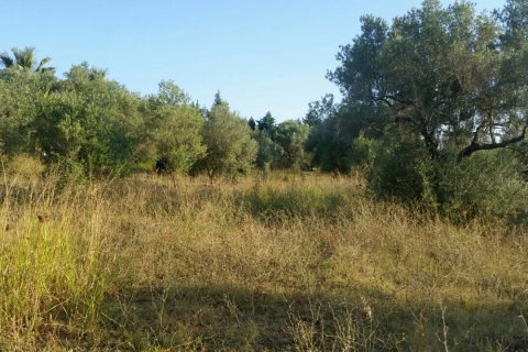 4250m² Land en Chalkidiki, Greece No. 59048 3