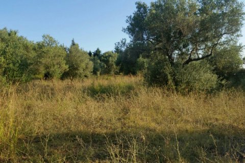 4250m² Land en Chalkidiki, Greece No. 59048 1