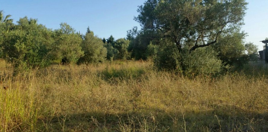 4250m² Land à Chalkidiki, Greece No. 59048