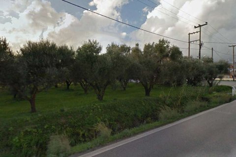 Land in Zakynthos, Greece No. 24569 4