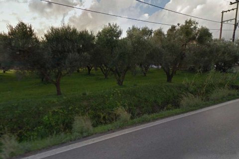 Land in Zakynthos, Greece No. 24569 3