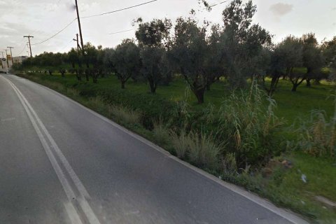 Land in Zakynthos, Greece No. 24569 2