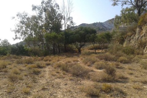 Land in Zakynthos, Greece No. 24574 11