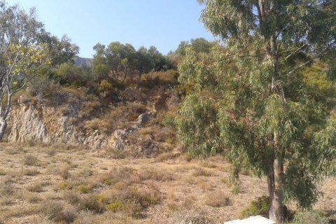 Land in Zakynthos, Greece No. 24574 6