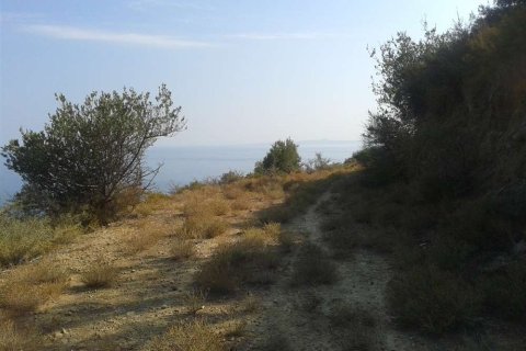 Land in Zakynthos, Greece No. 24574 7