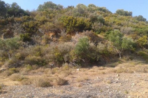 Land in Zakynthos, Greece No. 24574 14